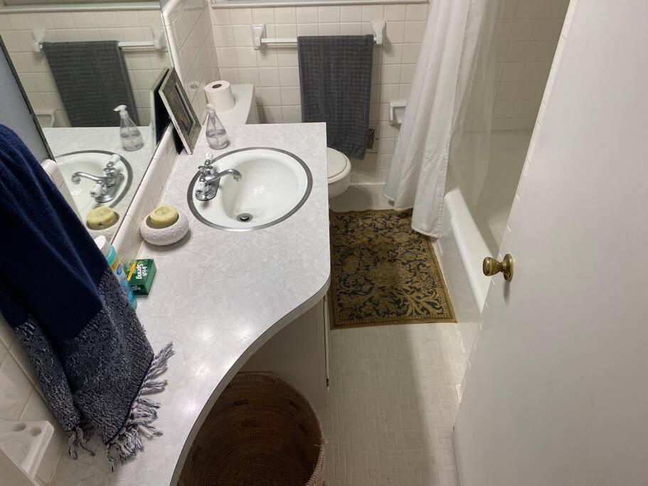 Whole House In Athens, Private, Fenced, Convenient, Close To Downtown Exterior foto